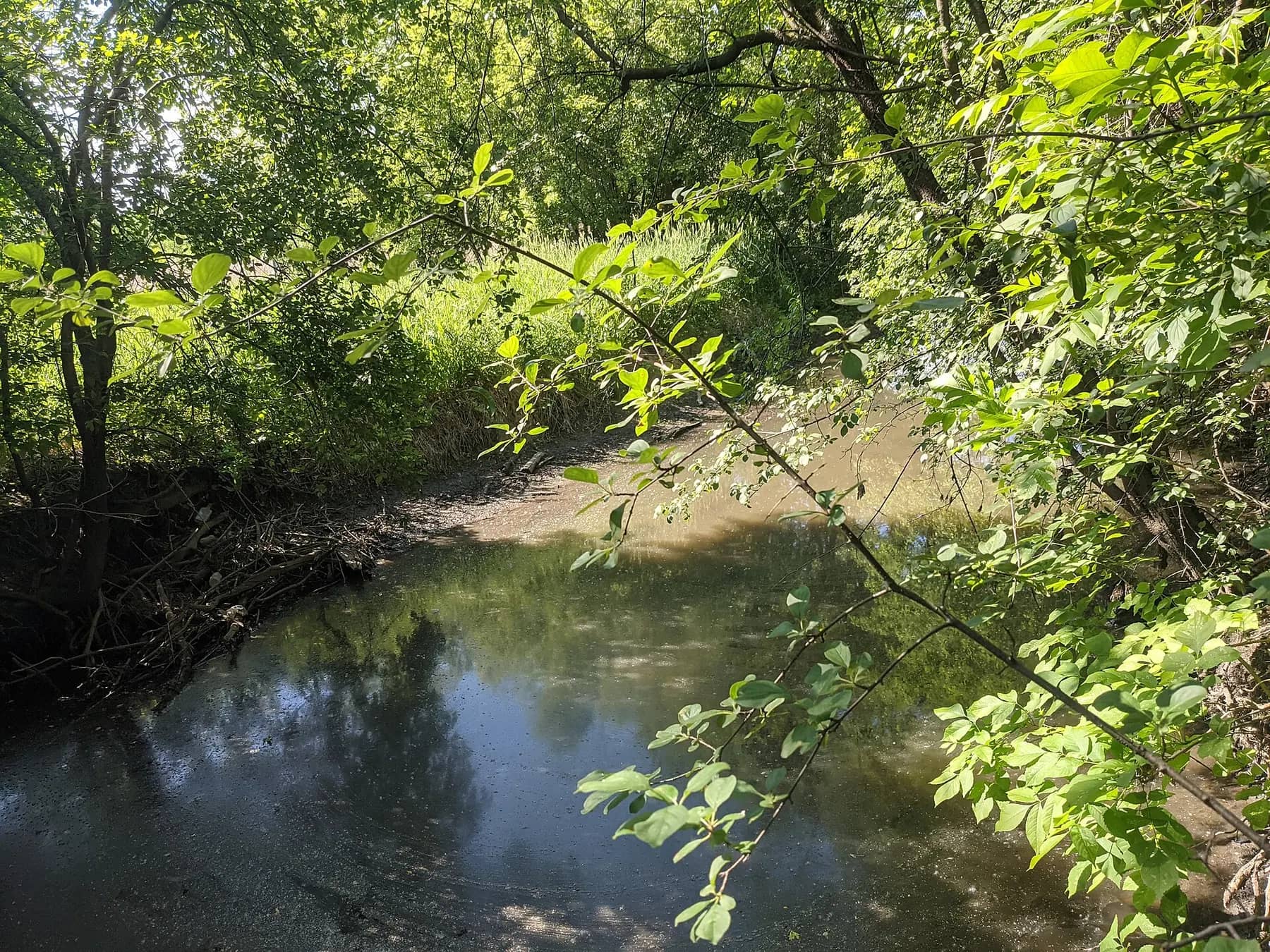 Salt Creek flowing through Rolling Meadows in 2021