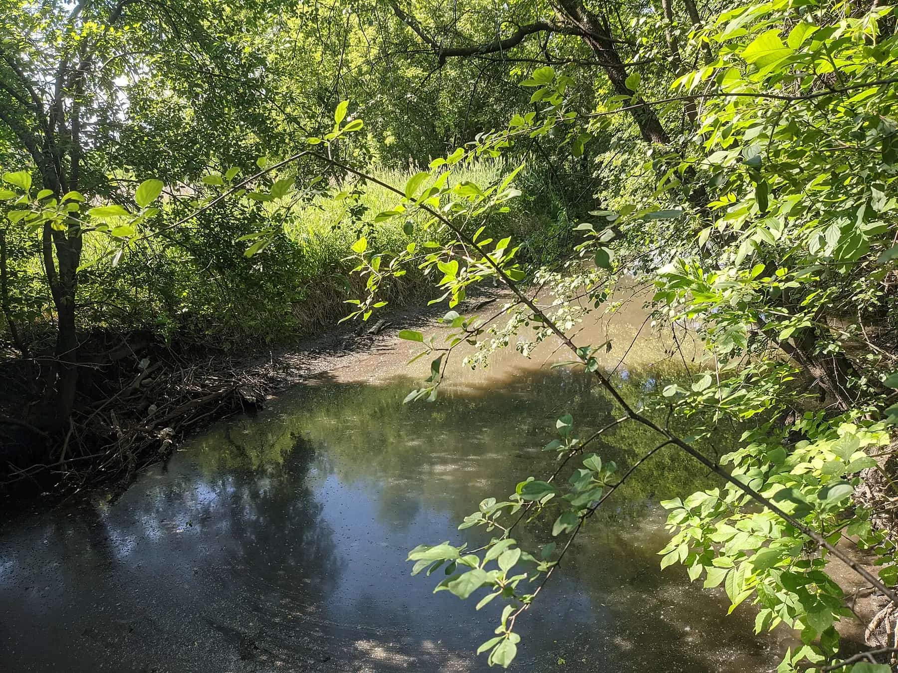 Salt Creek flowing through Rolling Meadows in 2021
