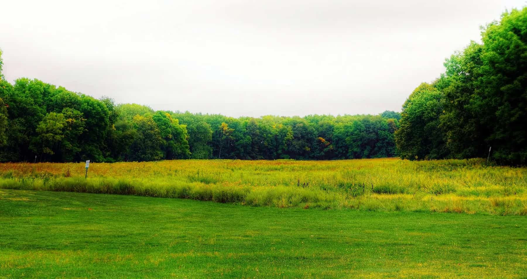 Ned Brown Meadow beside Rolling Meadows neighborhoods and employment corridors